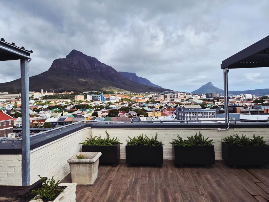 To Let 0 Bedroom Property for Rent in Observatory Western Cape